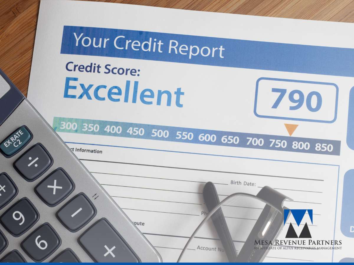 Business Credit Reports showing a score of 790, classified as Excellent, with a calculator and glasses in the foreground